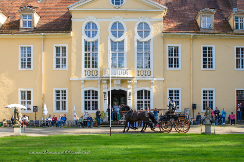 gk_20220911_0575-1