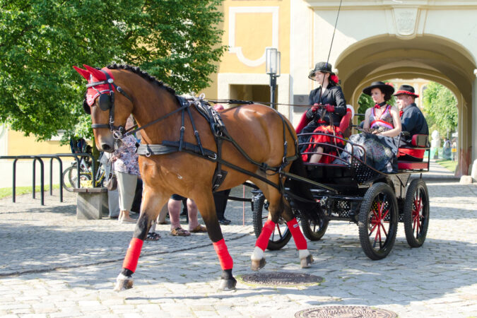 GK_20160605_0408_2
