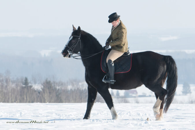 GK_20190208_0165_1