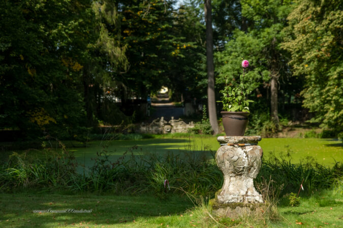 GK_20200913_0005