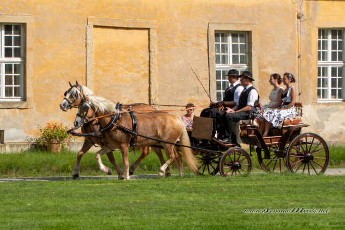 GK_20200913_0079-1