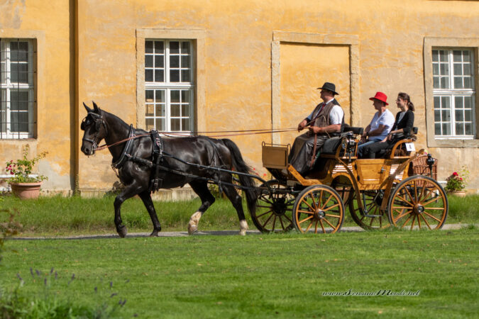 GK_20200913_0110-1