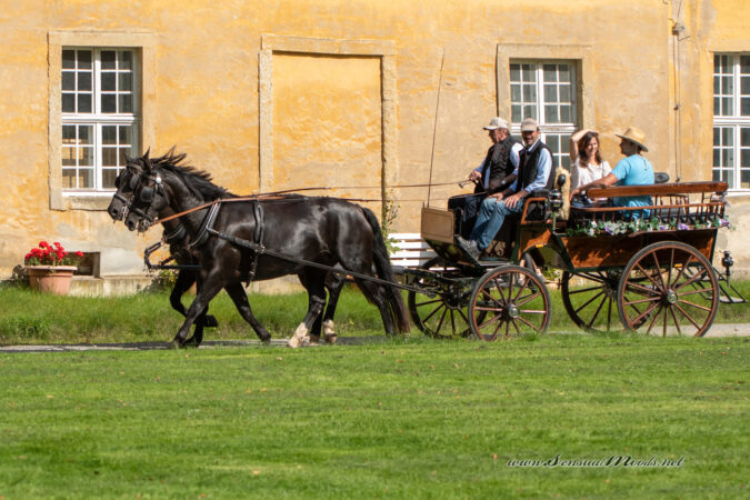 GK_20200913_0135-1