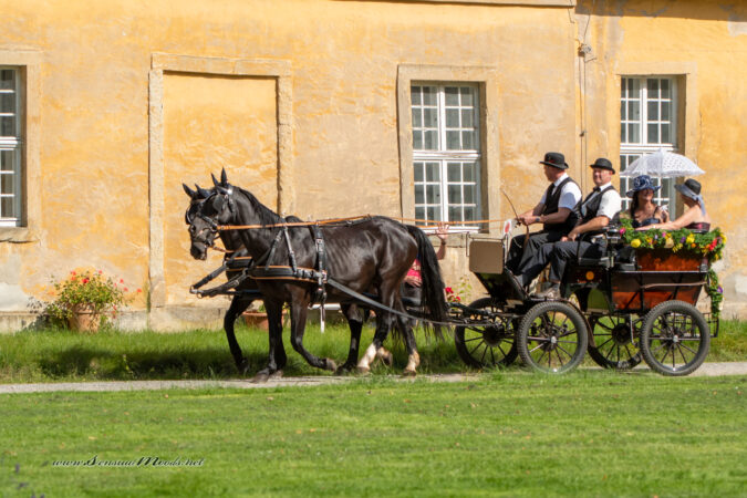 GK_20200913_0167-1