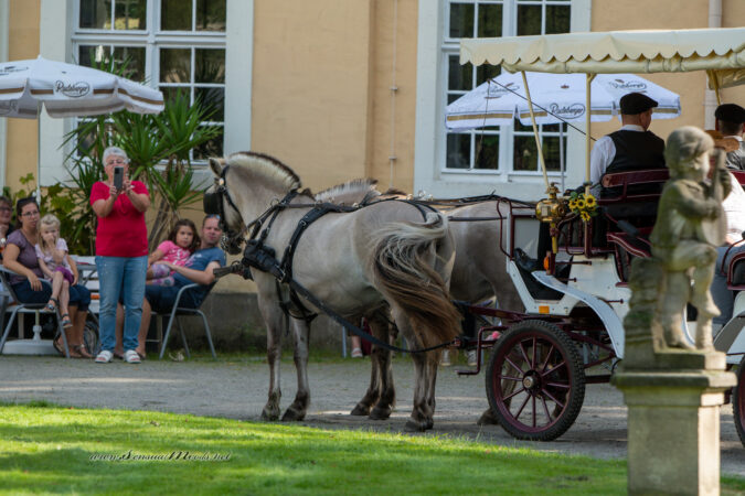 GK_20200913_0229-1