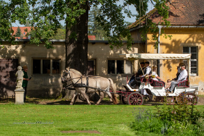 GK_20200913_0251-1