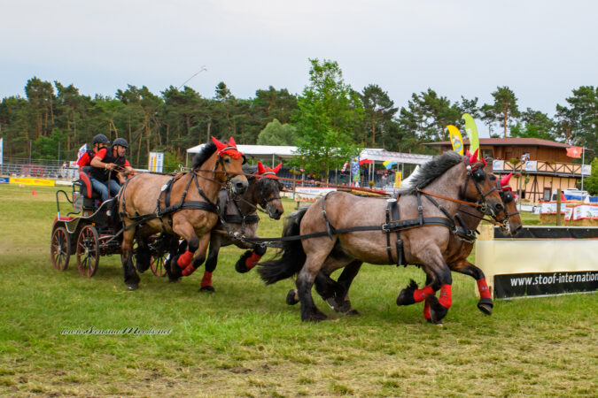 gk_20220624_1628-1-1