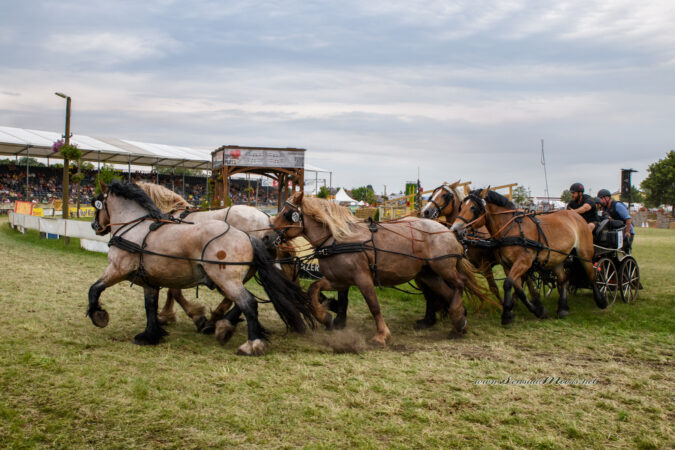 gk_20220624_1778-1-1