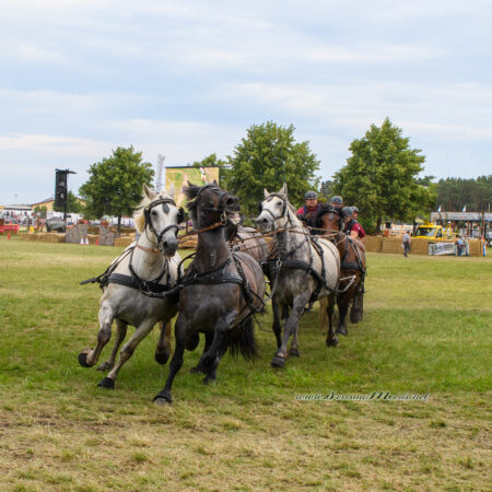 gk_20220624_1864-1-1