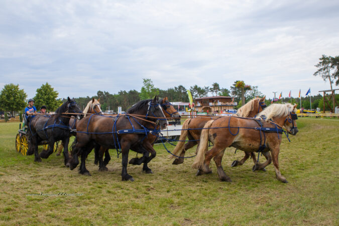 gk_20220624_1911-1-1