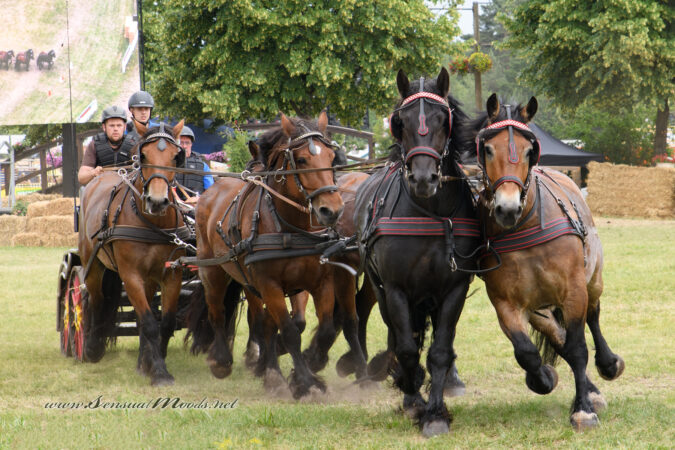 gk_20220624_1970-1-1