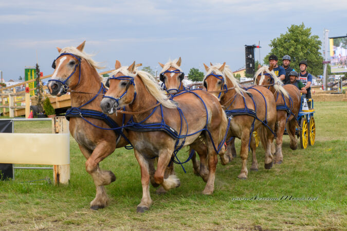 gk_20220624_2030-1-1