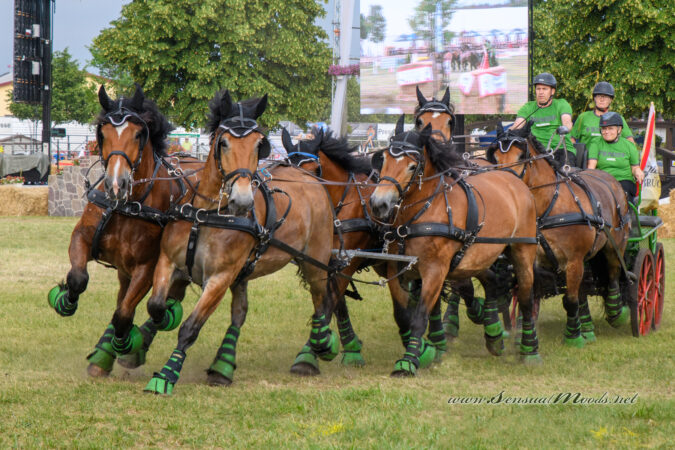 gk_20220624_2049-1-1