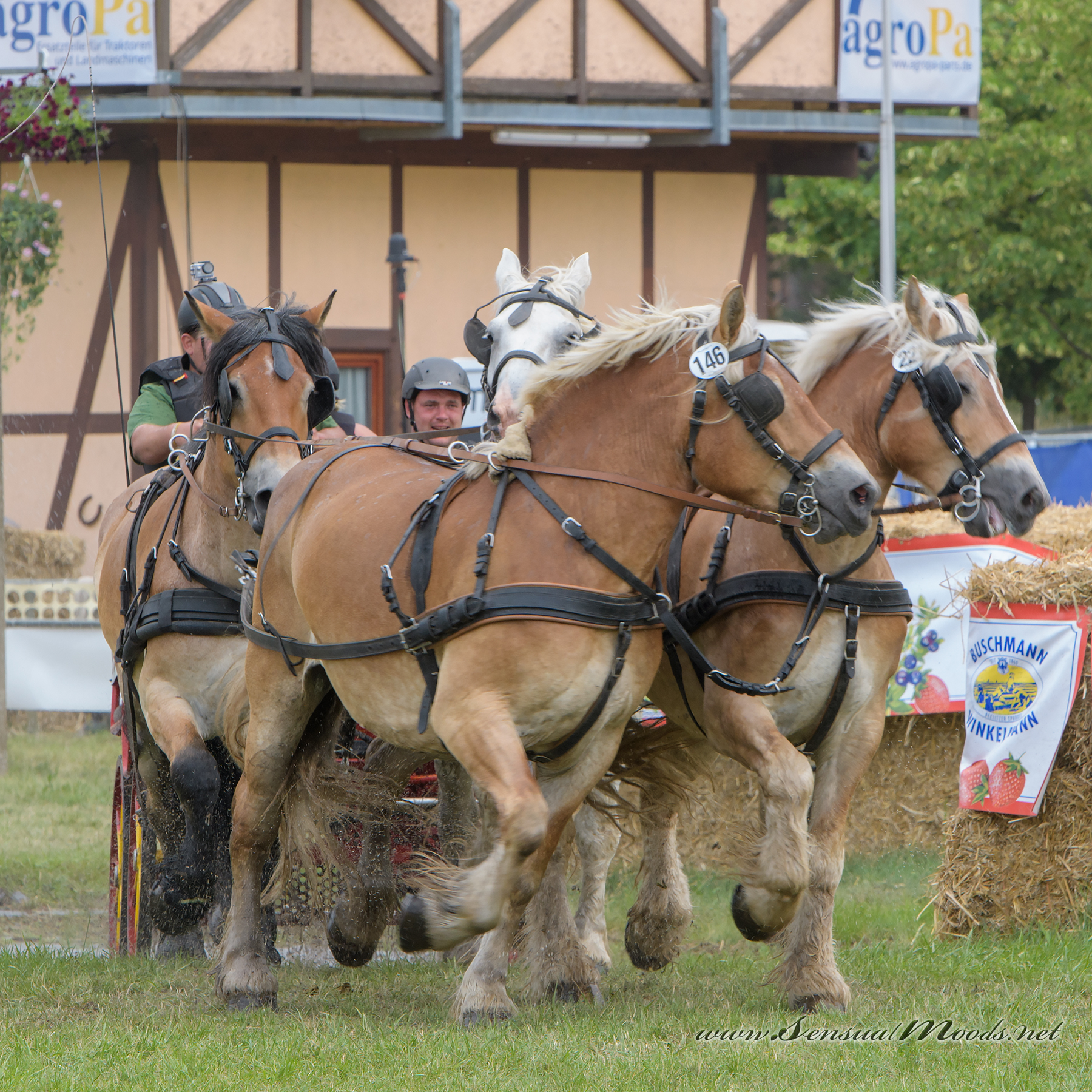 gk_20220624_1409-3