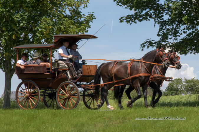 gk_20220612_2142-1