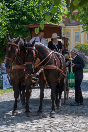 gk_20220612_2447-1
