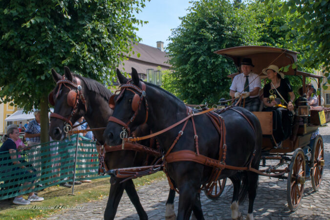 gk_20220612_2453-1