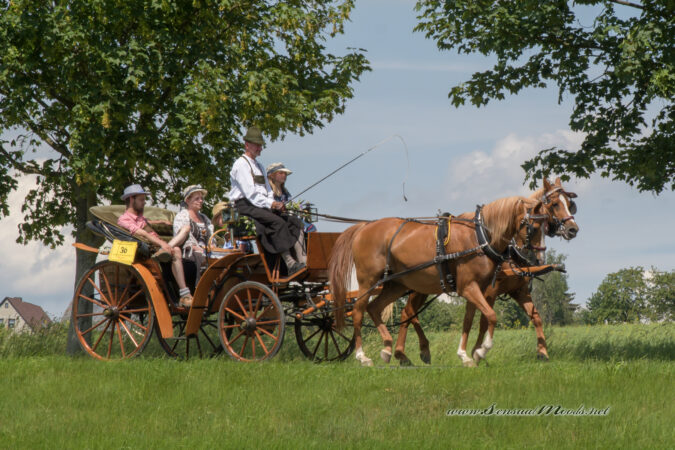 gk_20220612_2316-1