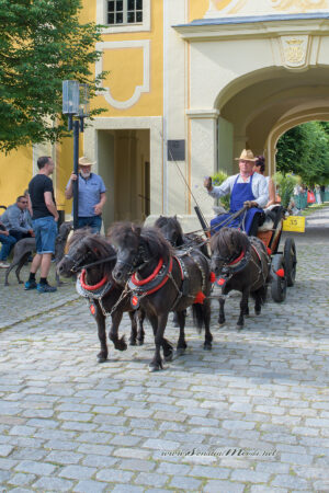 gk_20220612_0266-1