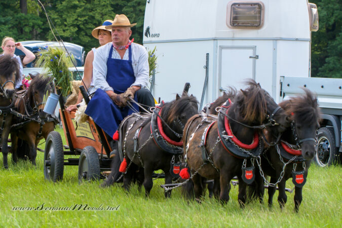 gk_20220612_1688-1