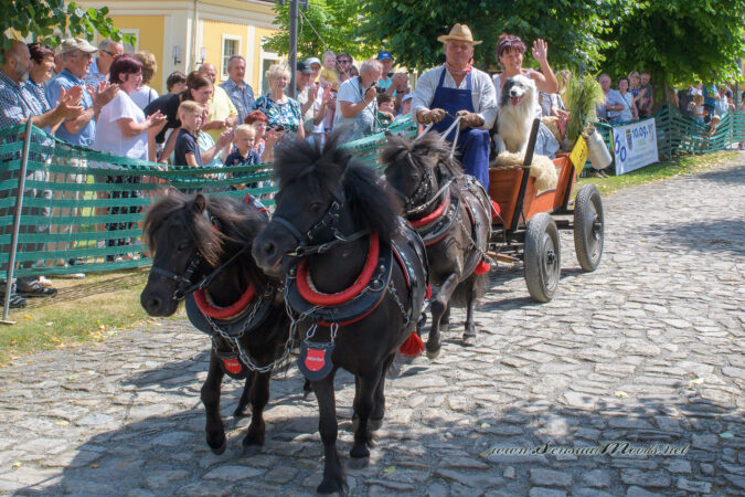 gk_20220612_3061-1