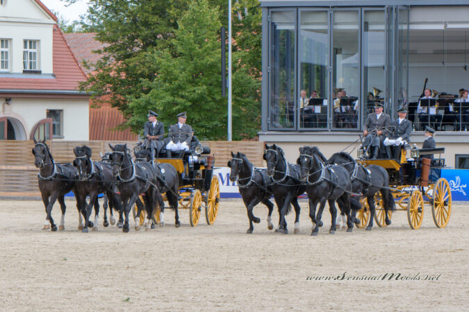 gk_20220910_0060-1