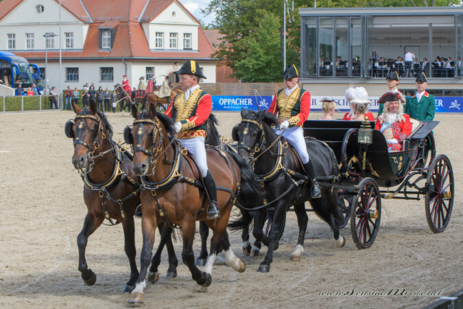 gk_20220910_0128-1