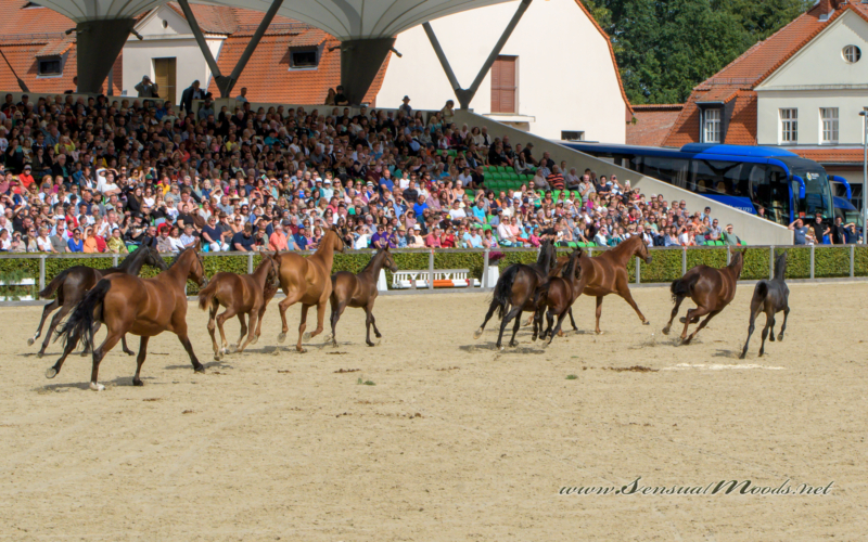 gk_20220910_0420-1