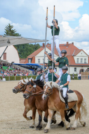 gk_20220910_0492-1
