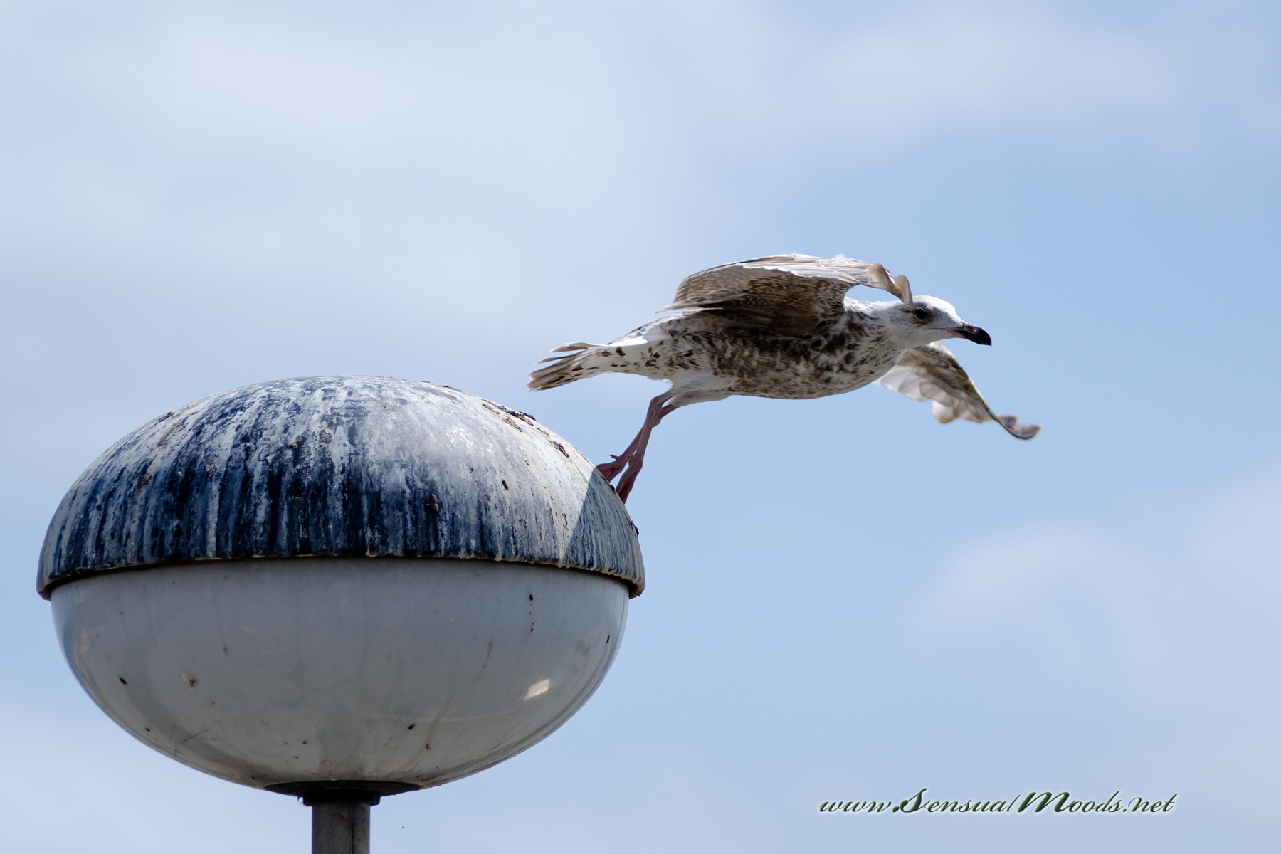 GK_20160619_0229_1