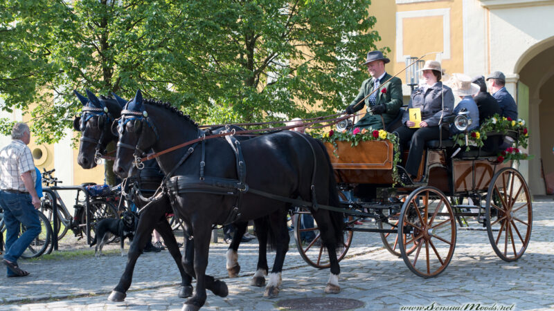 gk_20170521_0259_1