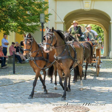 gk_20250615_1543-1