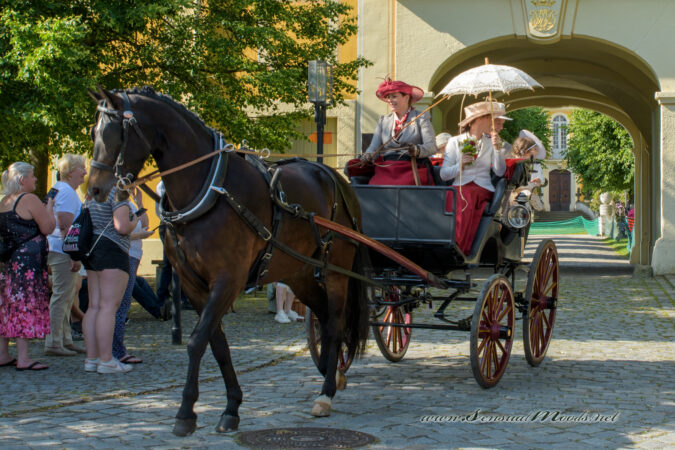 gk_20250615_0970-1