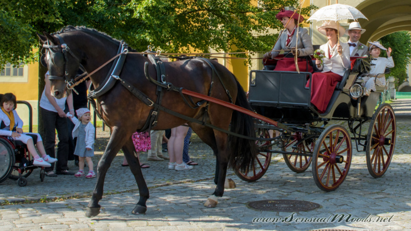 gk_20250615_0975-1