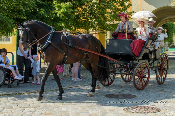 gk_20250615_0975-1
