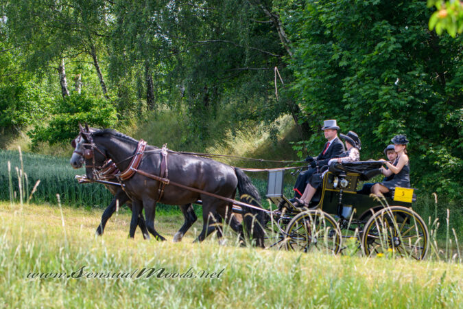 gk_20250615_0333-1