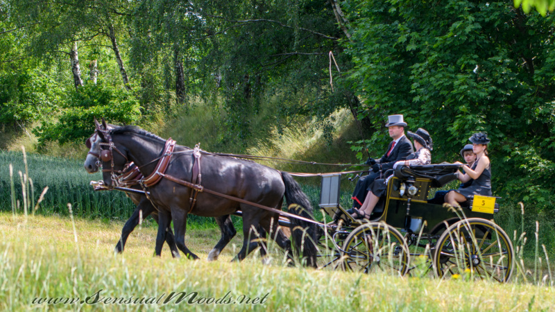 gk_20250615_0333-1