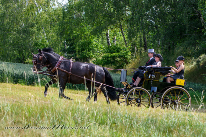gk_20250615_0334-1