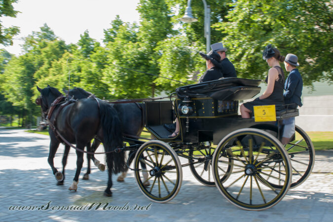 gk_20250615_1044-1