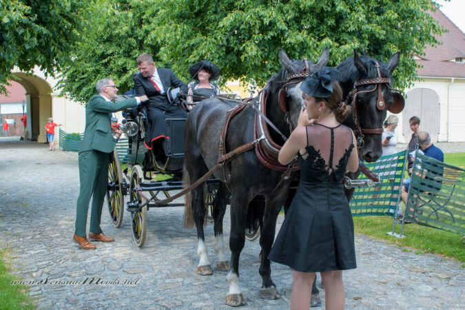 gk_20250615_1801-1