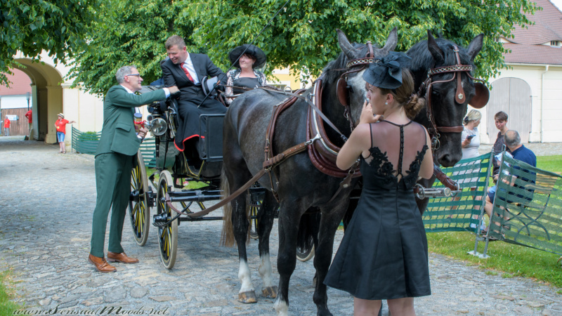 gk_20250615_1801-1