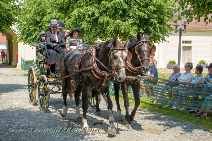 gk_20250615_1806-1