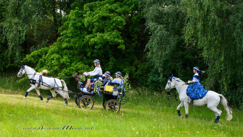 gk_20250615_0282-1