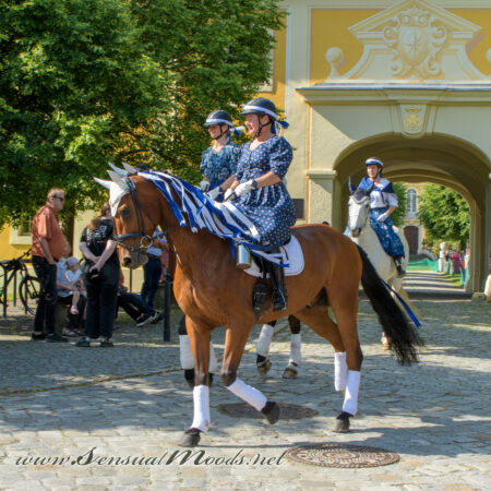 gk_20250615_1102-1