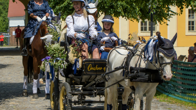 gk_20250615_1718-1