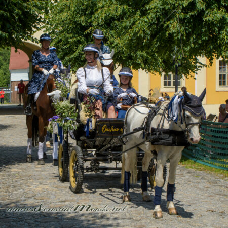 gk_20250615_1718-1