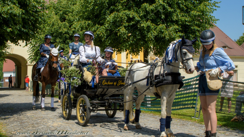 gk_20250615_1720-1