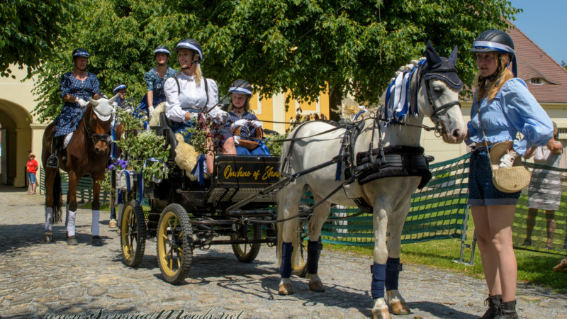 gk_20250615_1721-1