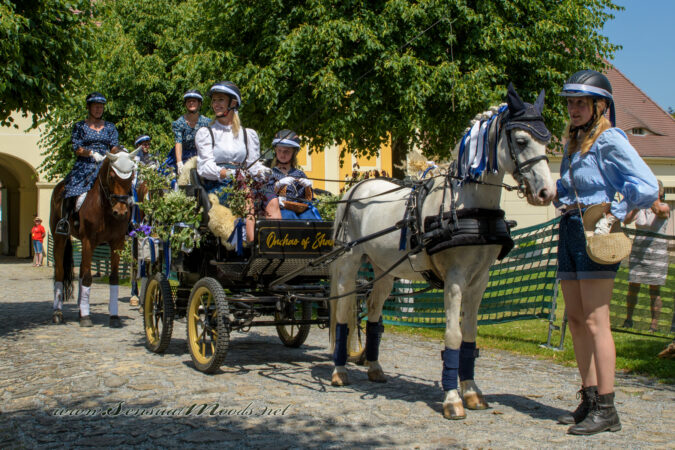 gk_20250615_1721-1