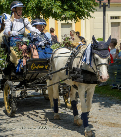 gk_20250615_1730-1